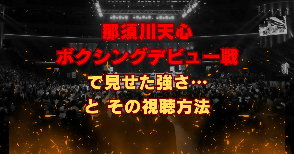 那須川天心 ボクシングデビュー戦で見せた強さ…と その視聴方法